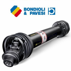 Bondioli & Pavesi